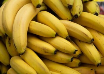 تونس تستورد كميات من الموز من مصر لن يتجاوز  سعره 5 دنانير