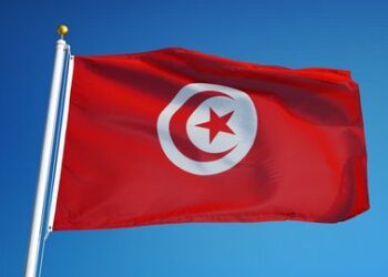 التونسيون بالخارج ينطلقون في الحصول على الهوية الرقمية