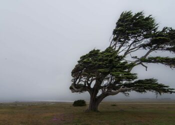 اليوم: طقس مغيم بأغلب المناطق ورياح قوية