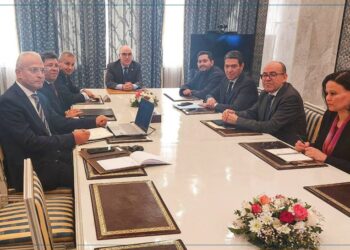 نبيل عمّار: “الوزارة تعمل على بعث منصّة رقمية للتواصل مع الجالية بالخارج”