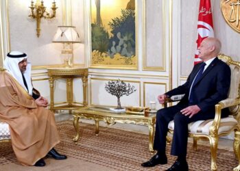 في لقائه بقيس سعيّد: وزير الصحة السعودي يؤكد حرص المملكة على دعم القطاع الصحي لتونس