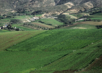 وزارة أملاك الدولة توافق على تسويغ عدد من المقاطع الدولية لإنجاز مشاريع عمومية