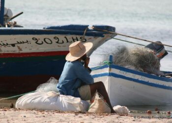 جربة: فقدان صياد في رحلة صيد وتواصل عمليات البحث عنه