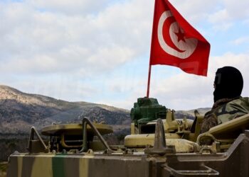 الاثنين: تونس تستضيف قادة جيوش طيران 40 دولة إفريقية