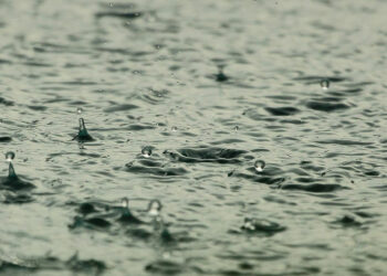 ظهر اليوم وغدا: أمطار رعدية ومحليا غزيرة بالشمال والسواحل