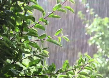 طقس الجمعة 2 فيفري 2024