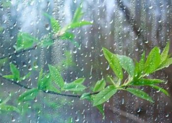 اليوم: أمطار رعدية بالشمال ورياح قوية بالسواحل