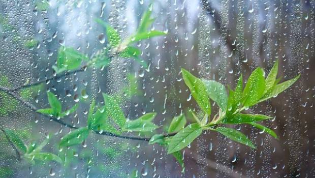 اليوم: أمطار رعدية بالشمال ورياح قوية بالسواحل