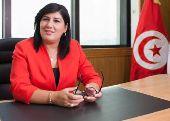 الدستوري الحر: بطاقة الإيداع الثانية ضد موسي تهدف لمنعها من الترشح للرئاسية