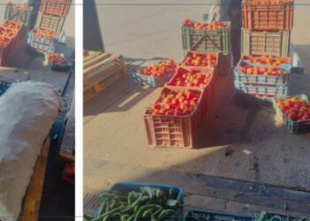 أريانة: حجز 800 كلغ من الفلفل والطماطم من أجل الترفيع في الأسعار