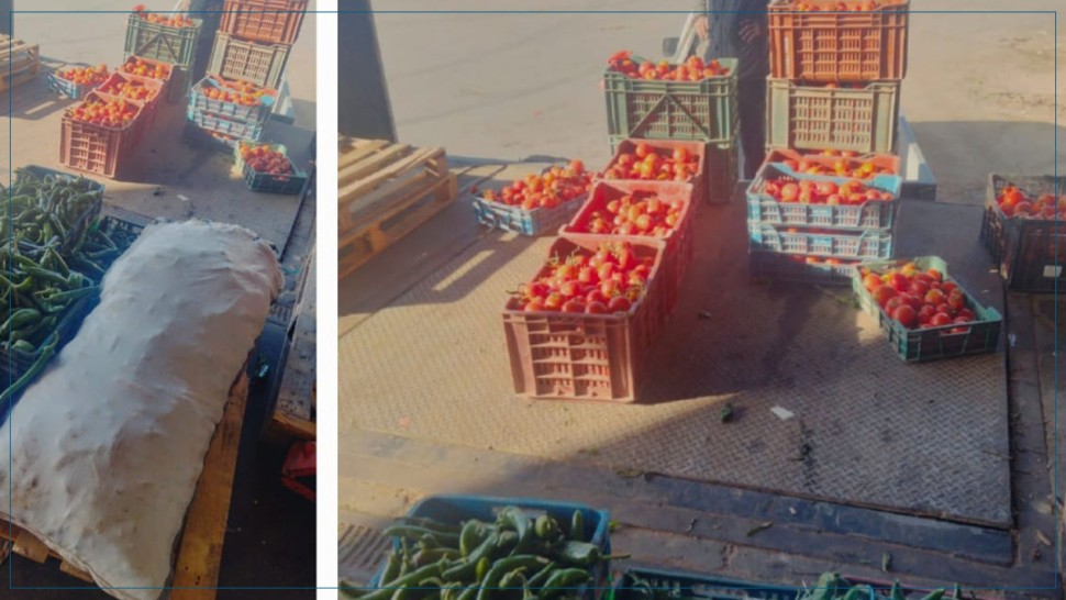 أريانة: حجز 800 كلغ من الفلفل والطماطم من أجل الترفيع في الأسعار