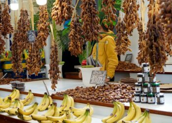 بنزرت ومنوبة: حجز 411 كغ من الدقلة و16 كغ من الموز المهرب وأكثر من 1 طن من الفرينة الرفيعة