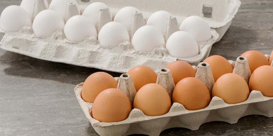 العاصمة: حجز 37 ألف بيضة في مخزن عشوائي