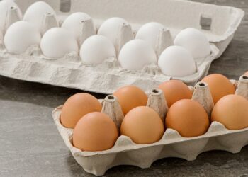 العاصمة: حجز 37 ألف بيضة في مخزن عشوائي