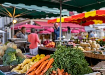 بن عروس: 390 مخالفة إقتصادية خلال شهرين