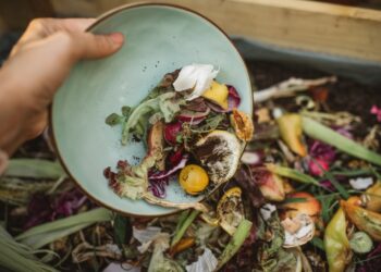 تونس الأولى مغاربيا في اهدار الغذاء والثانية عربيا بمليوني طن سنويا