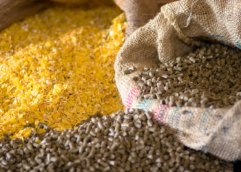 بنزرت: حجز29.6 طنا من الأعلاف الحيوانية بمستودع عشوائي