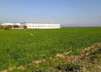 الكاف: استرجاع عقار دولي فلاحي بمساحة 15 هكتار