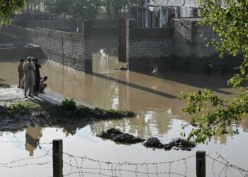 باكستان: 4 أيام من الأمطار الغزيرة تقتل 63 شخصا