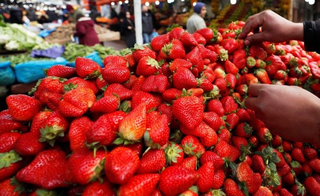 نابل: حجز 2196 كلغ من البطاطا و1468 كلغ من البصل و745 كلغ من الفراولة وتوجيهها إلى أسواق الجملة