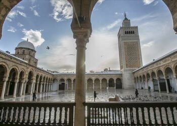 إشارات أحمد الحمروني : شجون