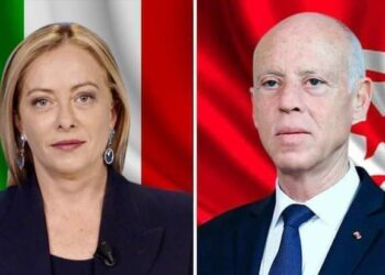 قيس سعيد لجورجيا ميلوني: تونس تعمل على تأمين عودة المهاجرين غير النظاميين الى بلدانهم