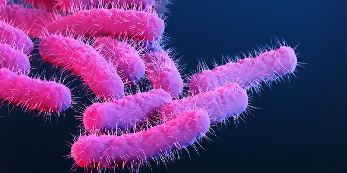 إصابة طفل بجرثومة “الشيغيلا” بعد شربه ماء ماجل في أرياف الرقاب