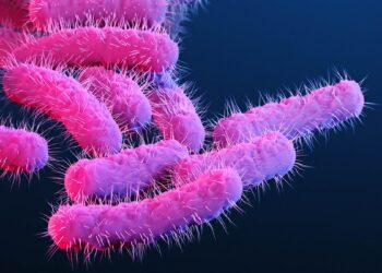 إصابة طفل بجرثومة “الشيغيلا” بعد شربه ماء ماجل في أرياف الرقاب