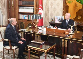 الرئيس سعيّد: الدور الرائد للجيش الوطني