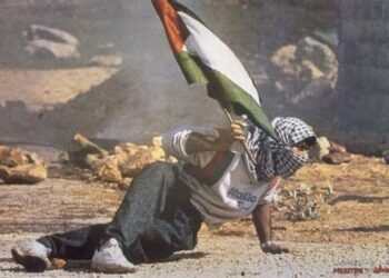 البوصلة.. فلسطين