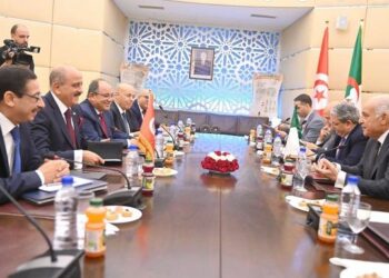 تونس-الجزائر: الارتقاء بالتعاون الثنائي إلى مستوى الشراكة الاستراتيجية النموذجية