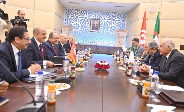 تونس-الجزائر: الارتقاء بالتعاون الثنائي إلى مستوى الشراكة الاستراتيجية النموذجية