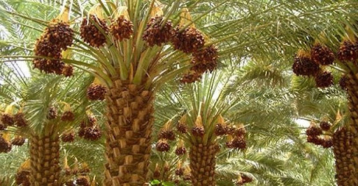 الطقس اليوم