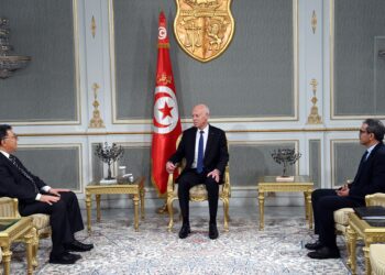 رئيس الجمهورية يستقبل  برئيسي الغرفتين النيابيتين