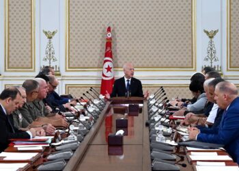 الرئيس سعيّد يُؤكّد ضرورة مضاعفة العمل لتأمين العودة الطوعية للمهاجرين غير النظاميين