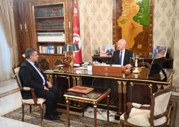 قيس سعيّد يدعو الى ضرب منابع عصابات كبار المضاربين والمهربين