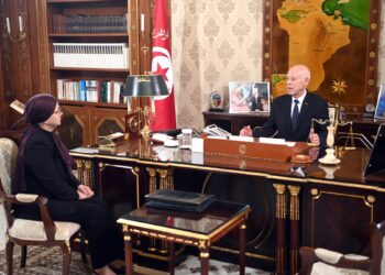 رئيس الجمهورية لدى اجتماعه بوزيرة العدل: لا يمكن تطهير البلاد الا بقضاء عادل