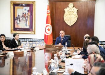 مجلس وزاري مضيّق يقرّ إجراءات عاجلة لفائدة الشركة التونسية للكهرباء والغاز