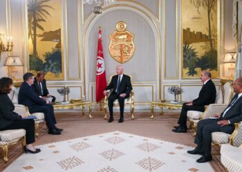 رئيس الجمهورية يتسلّم أوراق اعتماد عدد من السفراء الجدد بتونس