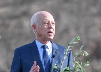 قيس سعيّد يؤدي زيارة غير معلنة لديوان الأراضي الدولية بالنفيضة