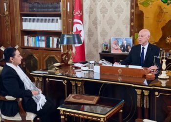 لدى اجتماعه بوزيرة الشؤون الثقافية: سعيّد يؤكّد أن الثقافة من قطاعات السيادة