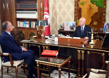 قيس سعيّد يدعو الى اتخاذ اجراءات فورية لضمان جني صابة الزيتون بما يحفظ حقوق الفلاحين