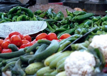 بلاغ وزارة التجارة إلى أصحاب ومستغلّي مخازن التبريد وأصحاب الخضر والغلال المخزّنة بها