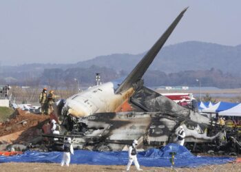 كوريا الجنوبيه: مصرع 179 شخصا في تحطّم طائرة وانقاذ اثنين من أفراد الطاقم