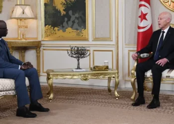 قيس سعيّد: آفاق التعاون مع مجموعة البنك العالمي يجب ان تتنزّل في اختيارات الشعب التونسي