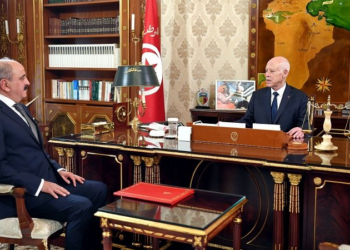 سعيّد يستقبل محمد علي النفطي: تونس تدعو لإرساء نظام إنساني جديد