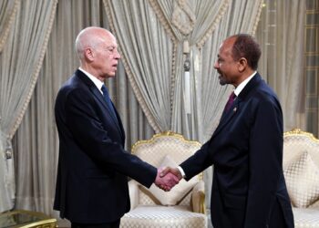 رئيس الجمهورية يلتقي بسفيري الهند والسودان بمناسبة انتهاء مهامهما بتونس