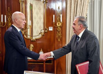 في لقائه بوزير الشباب والرياضة: رئيس الجمهورية يؤكّد ضرورة الإسراع بإعادة ترميم عديد المنشآت