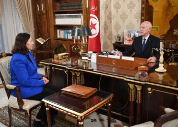 في لقائه بوزيرة التجهيز: رئيس الجمهورية قيس سعيّد يؤكّد ضرورة الانطلاق بسرعة في إنجاز مشروع مدينة الأغالبة الطبية بالقيروان