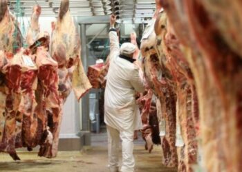 منتصف شهر جانفي المقبل: لحوم الأبقار ب35 د و600مي الكيلو، والضّأن ب38 د